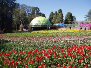 12m Dome. Floriade. Canberra