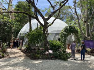 15m dome. Crystal Castle. Byron Bay