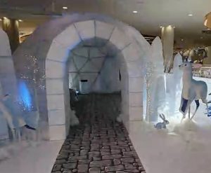 6m "Igloo" dome. Wollongong. NSW