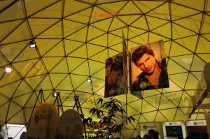 Inside 12m Dome. Melbourne International Flower Show