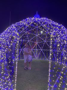 6.5m aluminium dome frame. Bundaberg