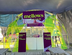 6.5m dome frame for Splendour in the Grass festival