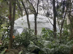 Crystal Castle 15m Peace Dome