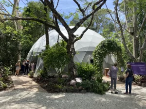 Crystal Castle 15m Peace Dome inside