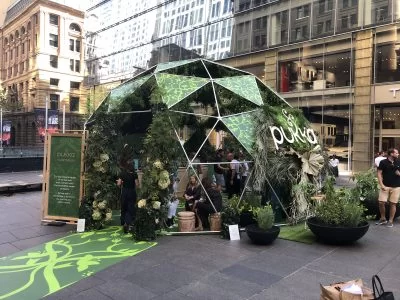 8m Dome. Pukka Tea. Martin Place, Sydney