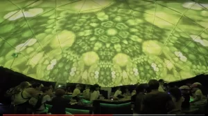 Inside Woolworths 15m Summer Sensorium dome