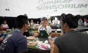 Inside Woolworths 15m Summer Sensorium dome
