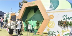 Woolworths 15m Summer Sensorium dome