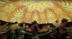 Inside Woolworths 15m Summer Sensorium dome