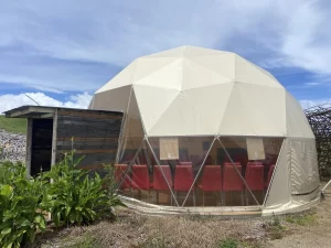 8metre diameter 5/8 sphere geodesic Glamping dome. Clear vinyl windows. Opening vents. Champagne Ferrari