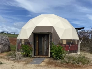 Glamping Dome. 8m